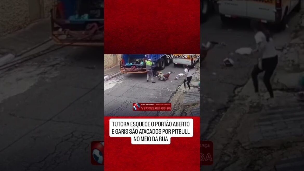 Dois garis, de 24 e 29 anos, ficaram feridos após serem atacados por um cachorro da raça pitbull